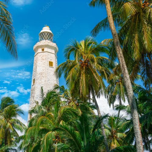 1000_F_101760237_NR0yZiVh12GJdp2mFh03Fnck9wyoCdnP